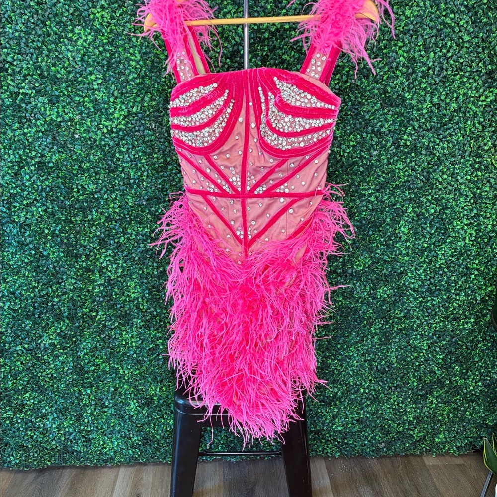 Vibrant Stunning Pink Feathered Dress - Custom